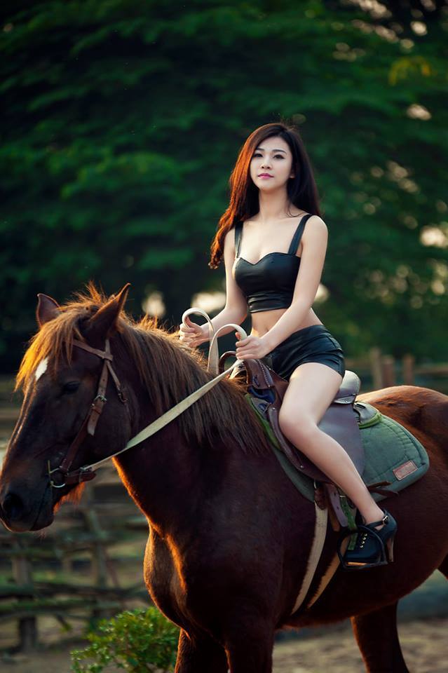 韩国驯服